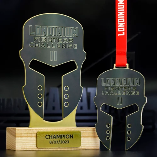 Zestaw nagród składający się z medali i statuetki na Londinium Fighters Challenge_5